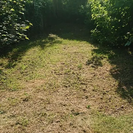Apartment Hyper Centre Avec Jardin 47m2 Cosy