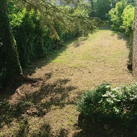 Apartment Hyper Centre Avec Jardin 47m2 Cosy *