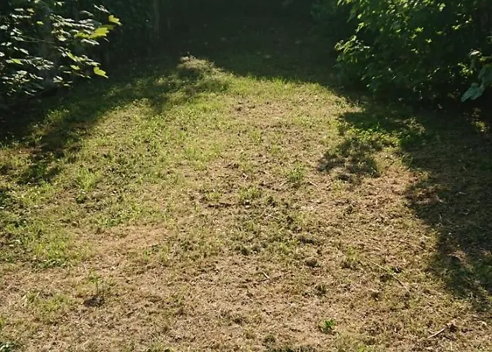 Appartement Hyper Centre Avec Jardin 47m2 Cosy
