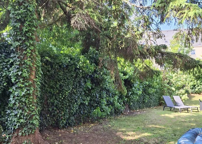Appartement Hyper Centre Avec Jardin 47m2 Cosy